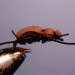  Мушка Beetle-legs на двойнике