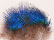 Tics зеленые шейные перья павлина Peacock blue 