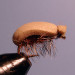 Мушка сухая Foam beetle